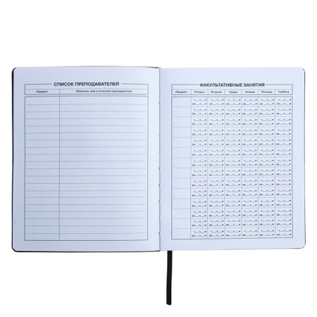Universal Diary Grade 1-11, 48 sheets "graffitist", covering of artificial leather, liesa, offset block-4