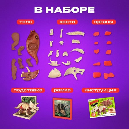Set for experiments "Dinomir: Tecratops", the structure of the body of the dinosaur-2