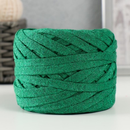 Knitted yarn "Ribbon" with Lurex 85m/170 ± 5 g (nephritis, lurex: green)