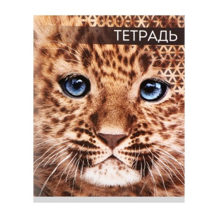 Notebook of 48 sheets in Calligrata "Wild Cats", cover coated paper, block No. 2, mix-2