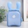 Piggy bank Metal "Funny Bunny" mix 8.5x10.5x17.5 cm