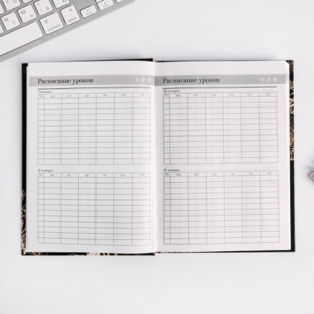 Diary of the Teacher "Golden Teacher", A5 format, solid cover cardboard 7BC, 160 sheets-4