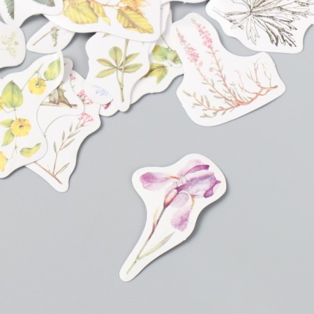 Stickers for creativity "Forest flowers" set 45 pcs 4.4x4.4x1.1 cm-1