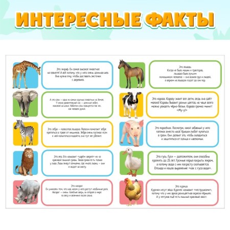Training set "Funny Animals": animals and poster, according to the Montessori methodology-4