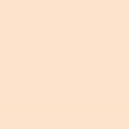 Concealer with the Focallure Soft Matte Complete Concealer brush, tone 01, 8 g-2