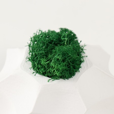 Concrete Kashpo "Glass" white 7.5x7.5x5 cm (moss green stabilized)-2