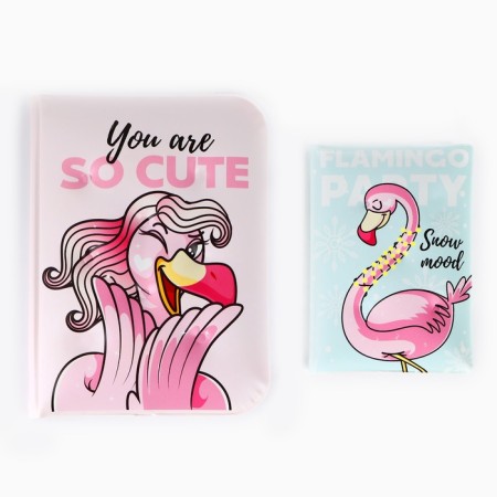 Flamingo Winter Party: Passport-Obvikhko and Diary Pass.-8