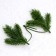 Decor "spruce spray", set of 10 pcs., Size 1 pc. - 13 × 9 × 3 cm