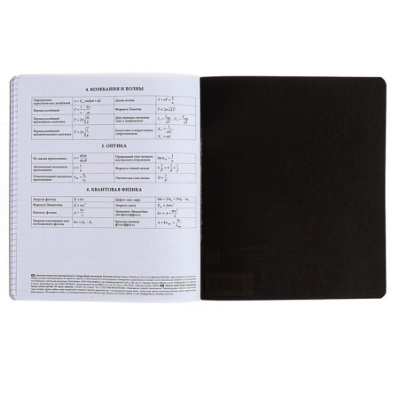 Subject notebook, 48 sheets, cage, physics, erichkrause "Inscription", cardboard cover of Twin-lax, block offset 100%, information block-6