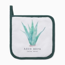 Aloe Vera Take 17x17cm 100% p/e
