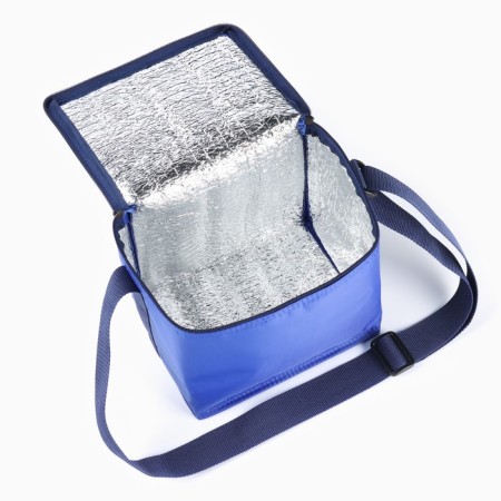 Thermal Summer for beer, 17 x 22 x 18.5 cm, with a cold battery-3