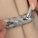 Picking for curtains "Weaving", 2 × 33 cm, silver color