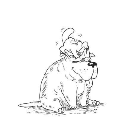 Simon's cat: dog answer. Tofield S.-1