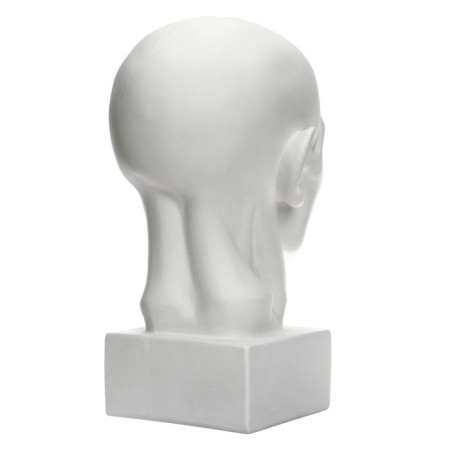 Gypsum figure is anatomical: head on the Goodon, 22 x 22 x 48 cm-2