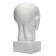 Gypsum figure is anatomical: head on the Goodon, 22 x 22 x 48 cm