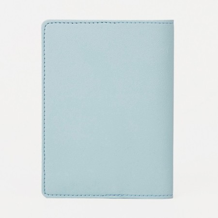 Cover for passport, blue color-1