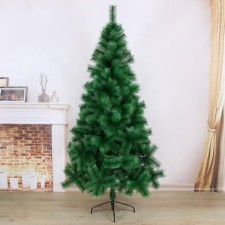 Cedar 