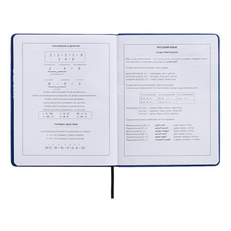 School diary for grades 1-11 Prividies, hard cover, artificial leather, foil embossing, tin-rush, liesse, 48 sheets, universal cheat sheet, block 80g/m2-11