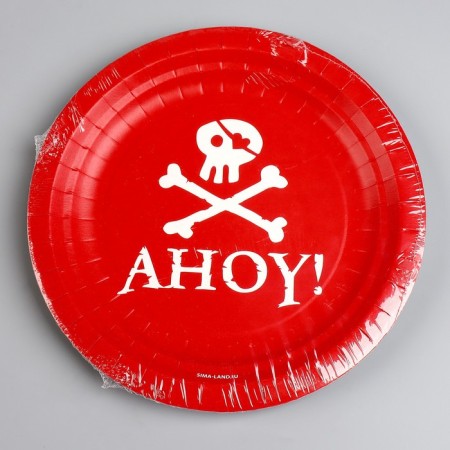Disposable paper plate "Pirates", 18 cm-4