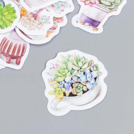 Stickers for creativity "Sukkulents in pots" set of 45 pcs 4.4x4.4x1.1 cm-1