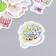 Stickers for creativity "Sukkulents in pots" set of 45 pcs 4.4x4.4x1.1 cm