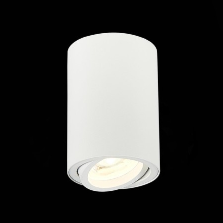 Ceiling lamp ST LUCE. ST108.507.01. 1x50 W, GU10, 7x7x10 cm, white color-1