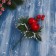 Decor "Winter Dreams" Apples snowy spruce branches of cones, 16 cm