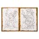 Coloring "Pirates in search of treasures", 12 p.