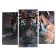 The modular picture "Tiger look" (2-25x52; 1-30x60) 60x80 cm