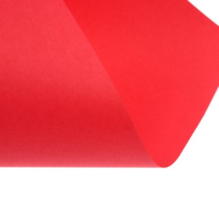Color paper A4 250l Calligrata Pastel + intensive mix 10 -cv 80g/m2, barn-14