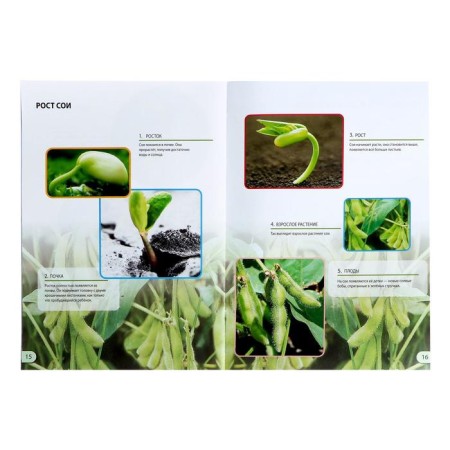 Set for experiments "Science of Plants", 16 experiments-2