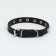 A collar with blunt spikes 38 x 1.5 cm, Osh 26-33, frost-resistant PU, black
