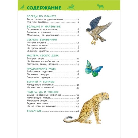 Encyclopedia for kindergarten "Amazing animals"-2
