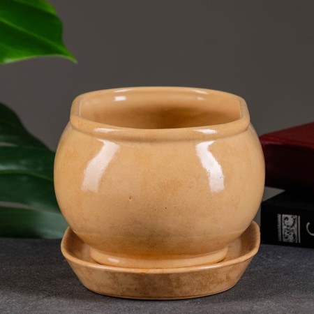 Flower pound tango No. 3 1.1l 15*10*10cm beige-6
