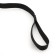 Leash 5 m x 2.5 cm, black