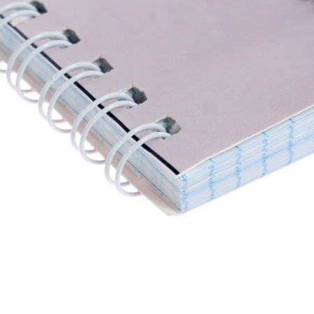 A notebook of 80 sheets in a cage on the crest "Kittens", a cover coated cardboard, glossy lamination, mix-2
