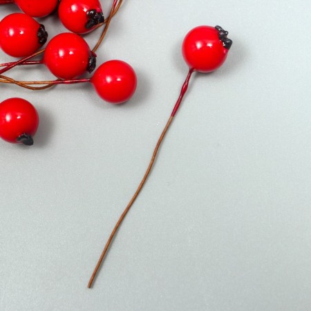 Decor for creativity "Berry - Hawthorn" red 7x1 cm