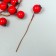 Decor for creativity "Berry - Hawthorn" red 7x1 cm