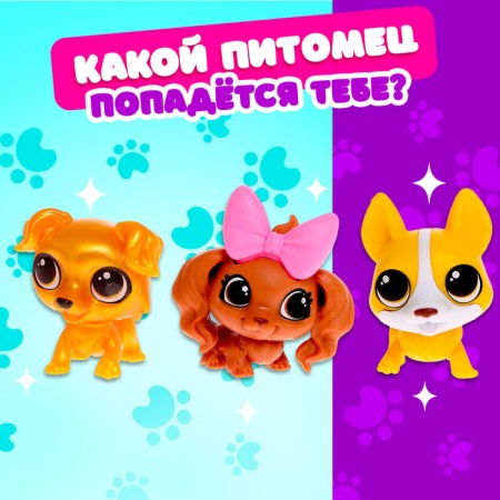 Surprise toy "Your pet Timmy", mix-2