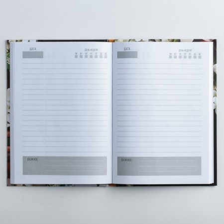 Golden Teacher Gift Set: A5 Diary of 80 sheets and planning with tear -off sheets of 50 sheets-6