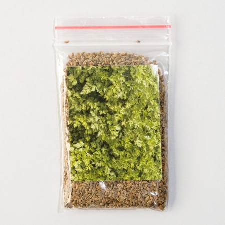 Parsley seeds "Fitness", leaf, Greenomica, 10 g