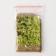 Parsley seeds "Fitness", leaf, Greenomica, 10 g