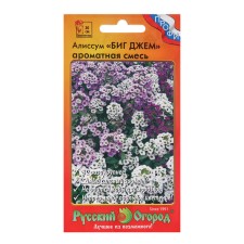 Flower seeds Alissum 