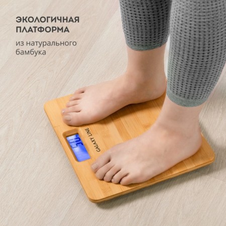 Floor Libra Galaxy GL 4820, electronic, up to 180 kg, 2haa-4