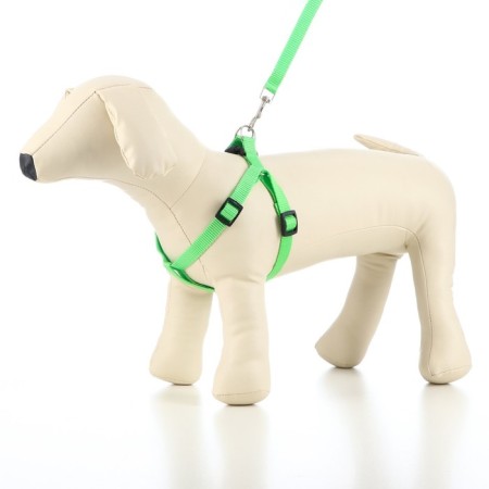 Set "Basis", leash 120 x 1.5 cm, OG 32-46 cm, green-5