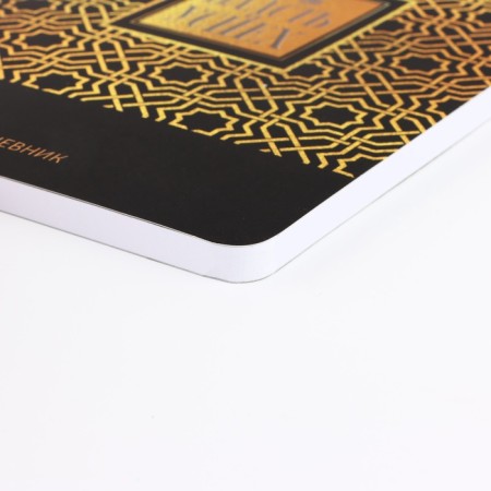 Diary A5+, 100 sheets soft region. Soft-Tach "Power and Success"-1