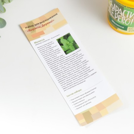 Gift set for growing plants "grow, tree! Melissa"-2