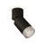 Black/transparent