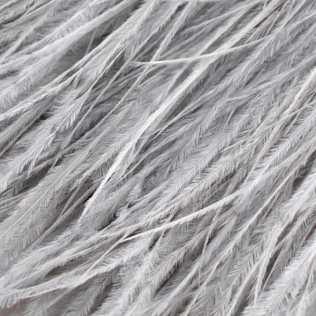 Braid with ostrich feathers, 8-10 cm, 5 ± 0.5 m, light gray color-1