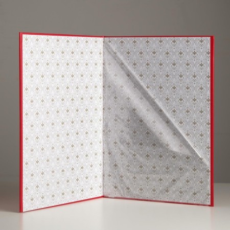 Folder for the birth certificate "Red" Bumvinyl, soft, A4-3